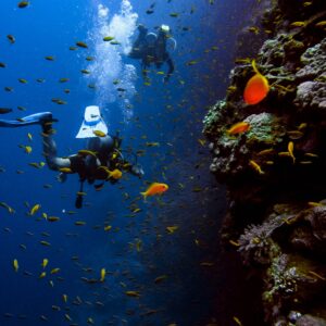 Immersione Capo Figari Sud Doppia