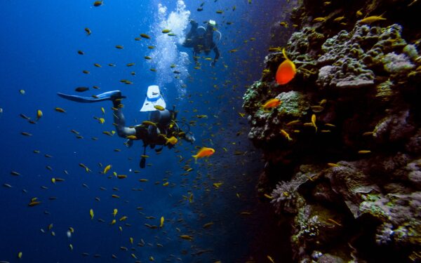 Immersione Capo Figari Sud Doppia